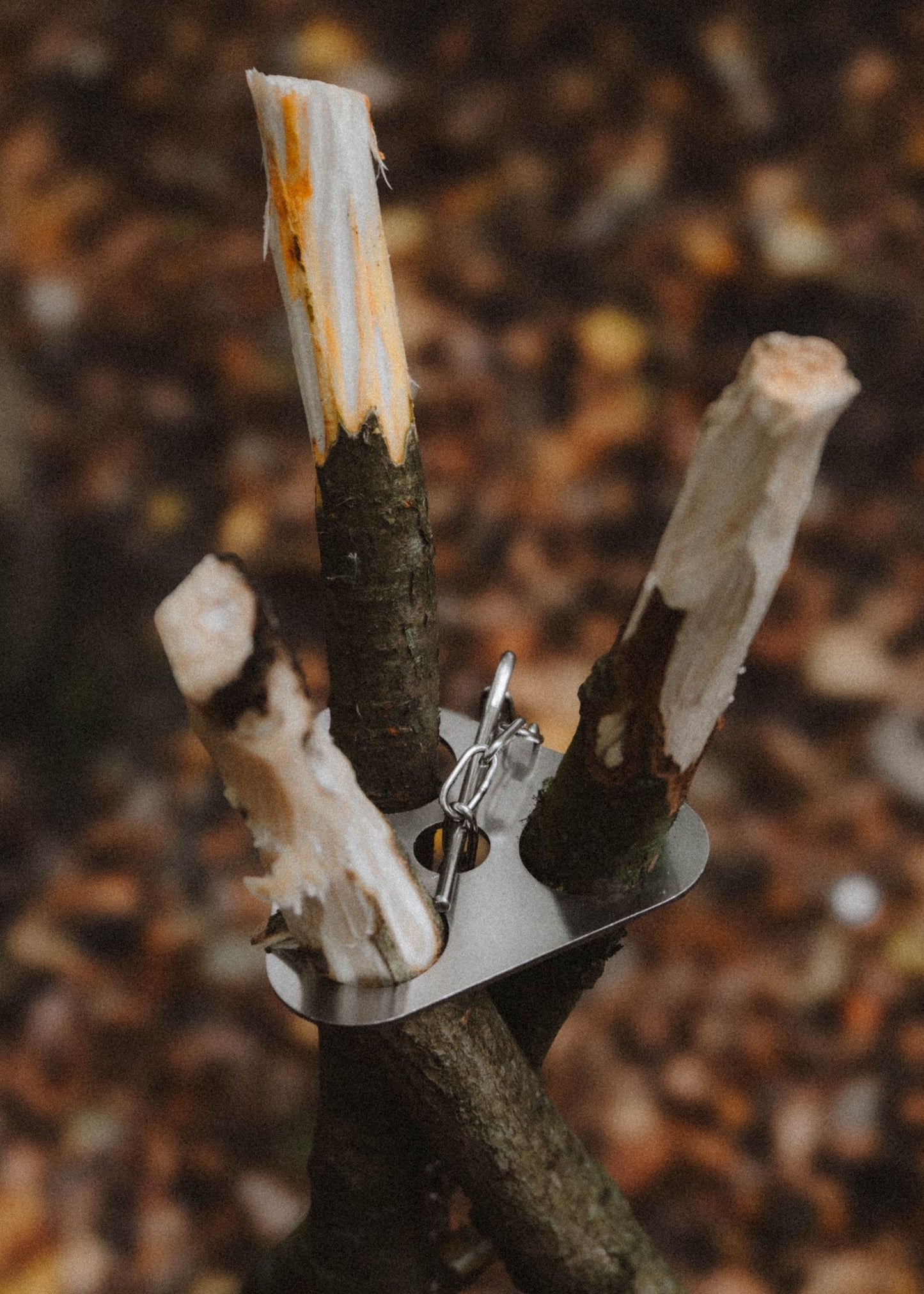 R+F Campfire Tripod Mount